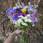 Ramo de novia con siemprevivas, limonium, paniculata y toques de craspedia