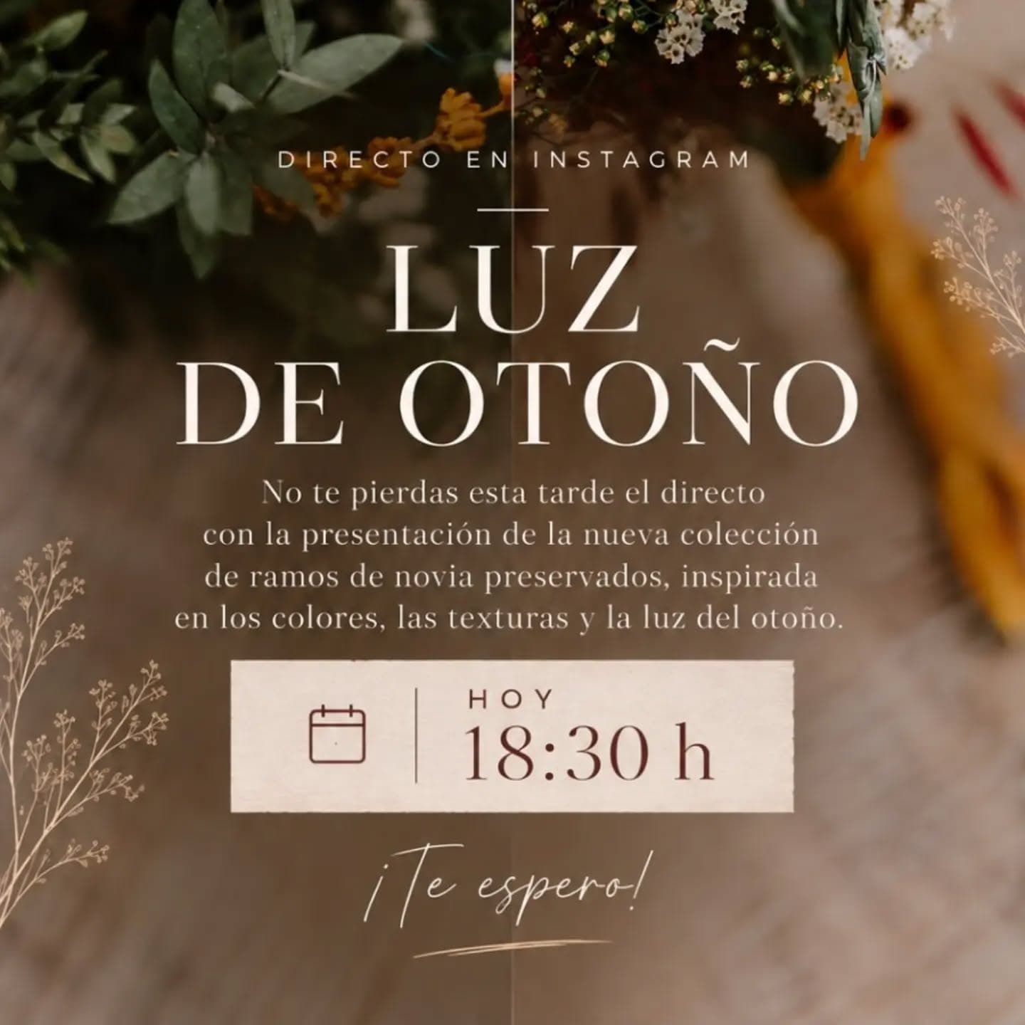 A las 18:30h de hoy me conecto en directo para presentarte Luz de Otoño, una nue