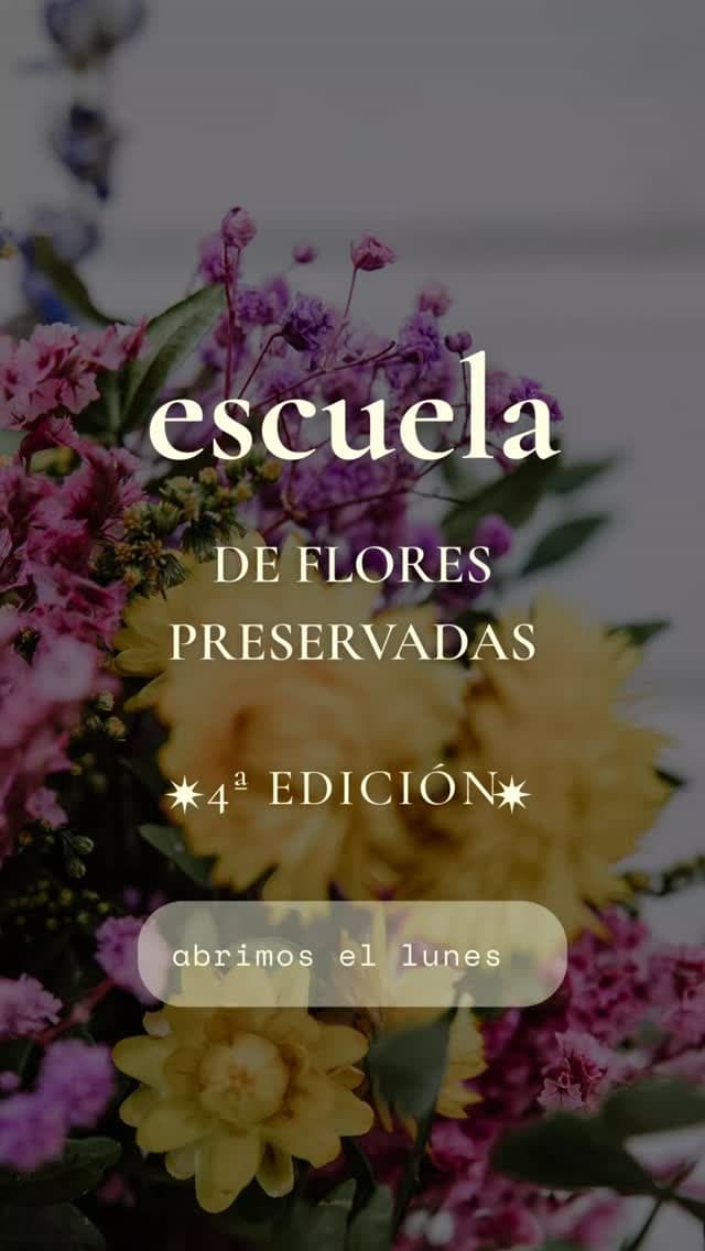 Ultimos días para apuntarte a nuestra escuela on line de flores preservadas.

Ap