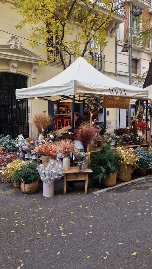 Sólo hoy sábado la Calle Jorge Juan se llena de flores de Navidad  con el Mercad
