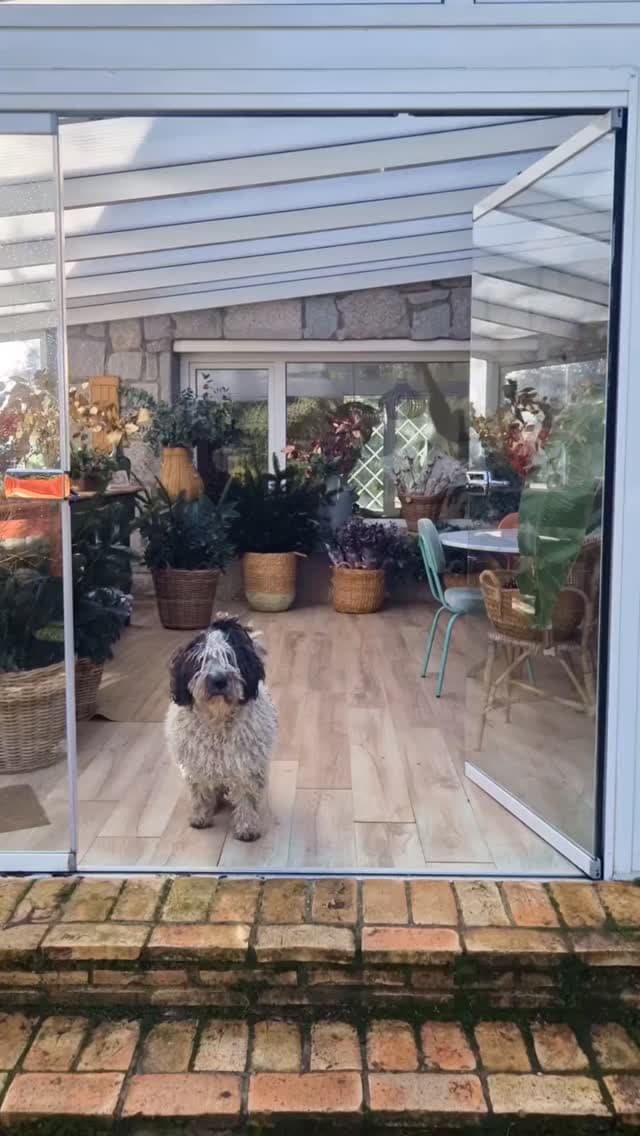 MERCADO NAVIDEÑO DE FLORES

Hoy domingo hasta laa 17h

Lugar: mi casa taller en 