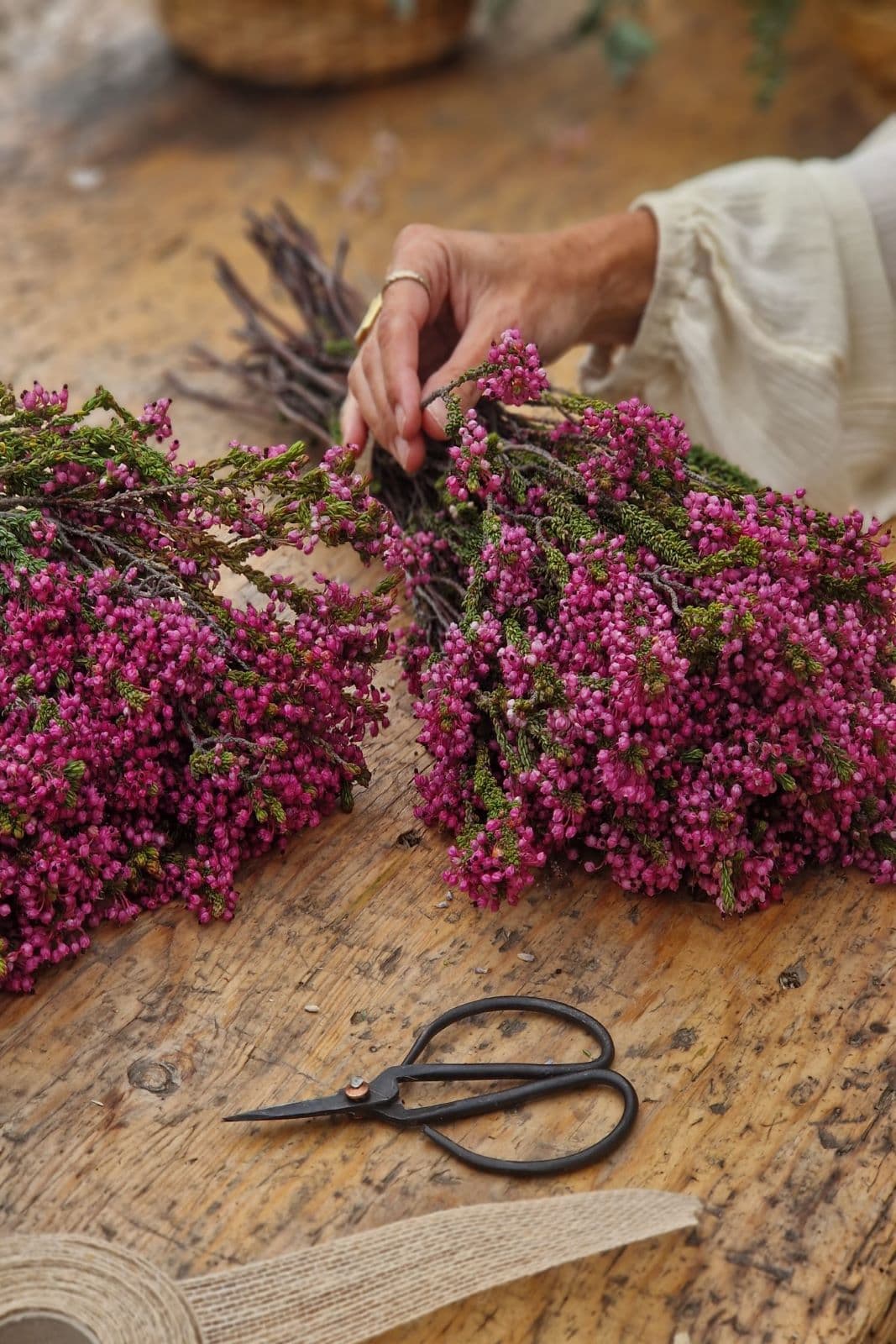 Ramo de brezo rosa