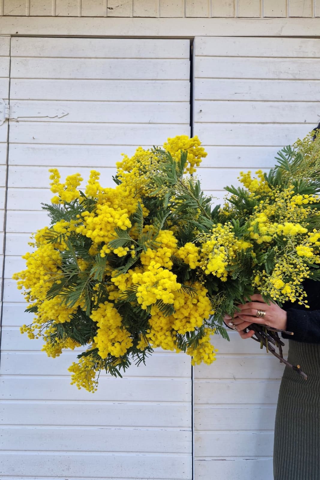 Taller 3 de febrero: corona de mimosas 3