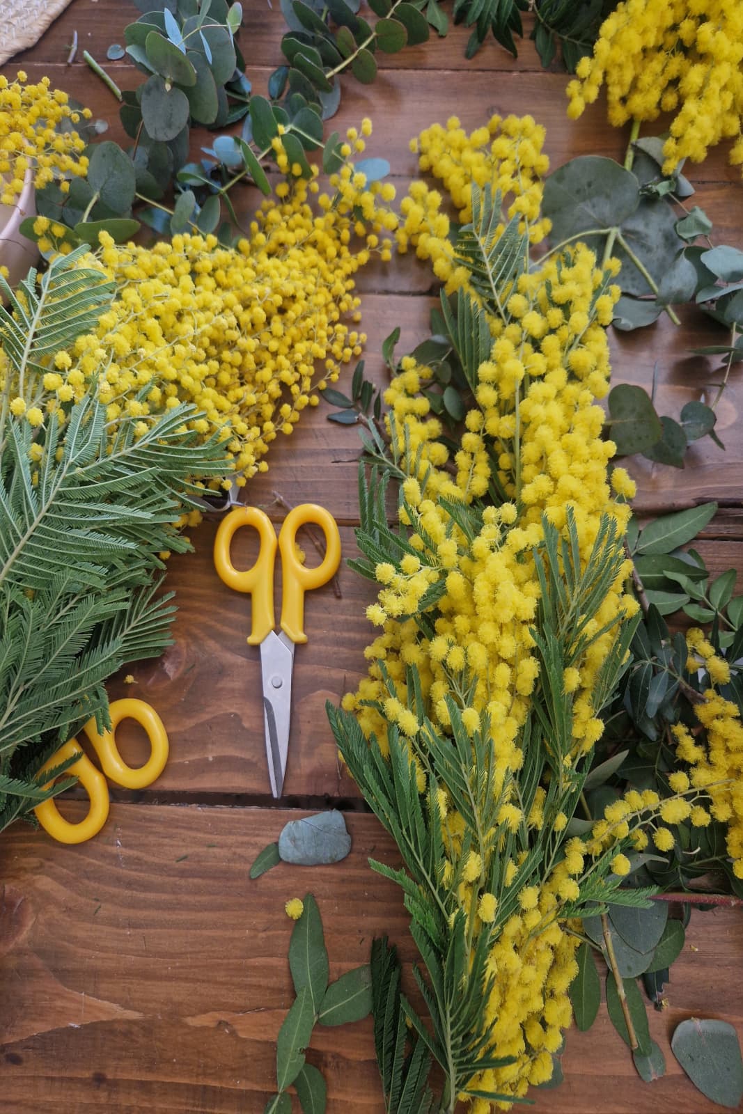 Taller 3 de febrero: corona de mimosas 2