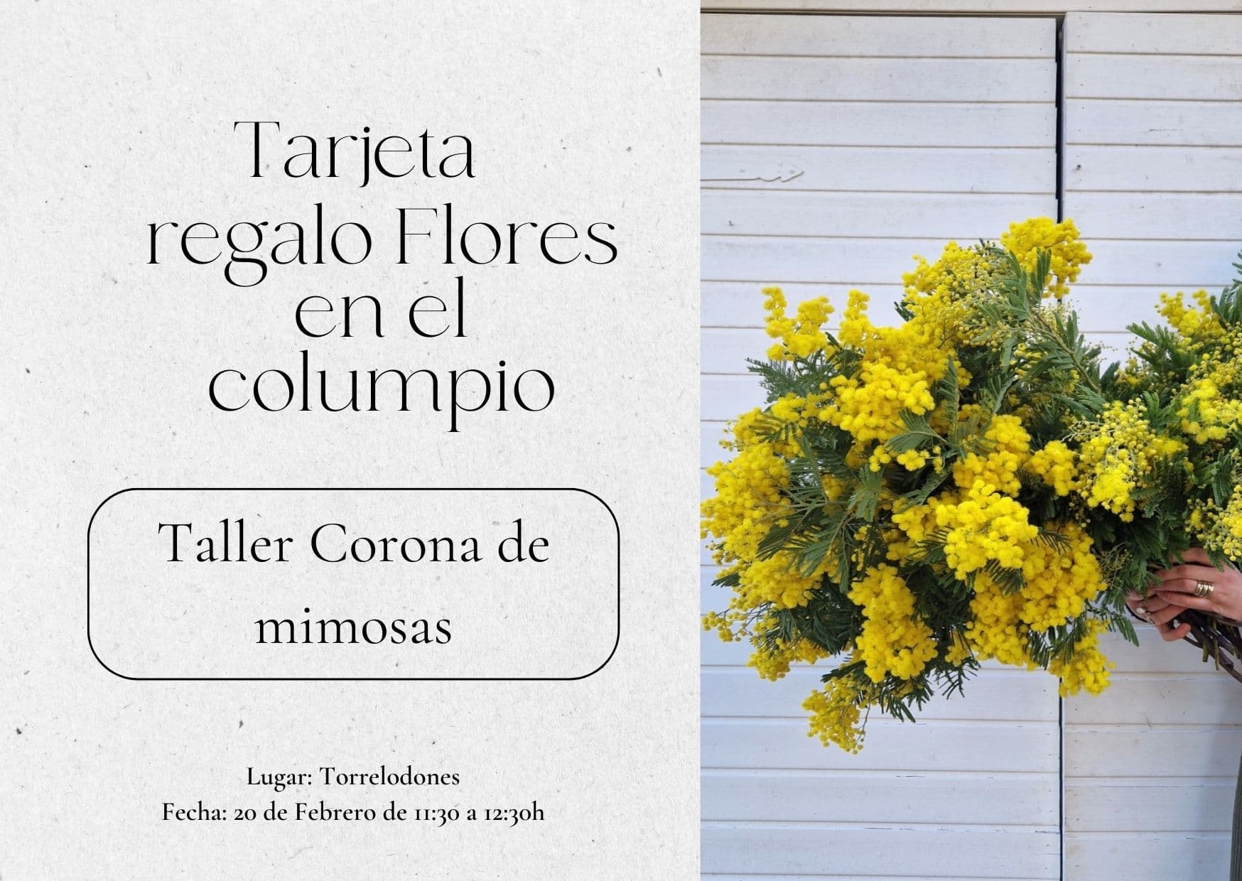 Taller 3 de febrero: corona de mimosas 4