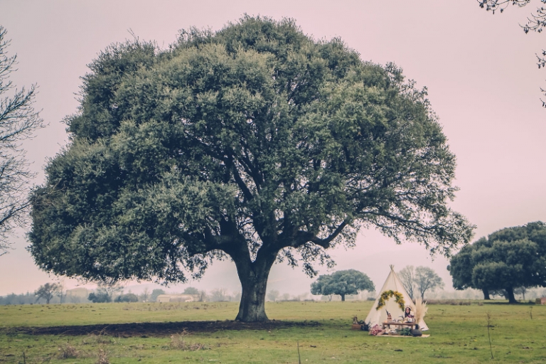 Decoración de bodas estilo apache