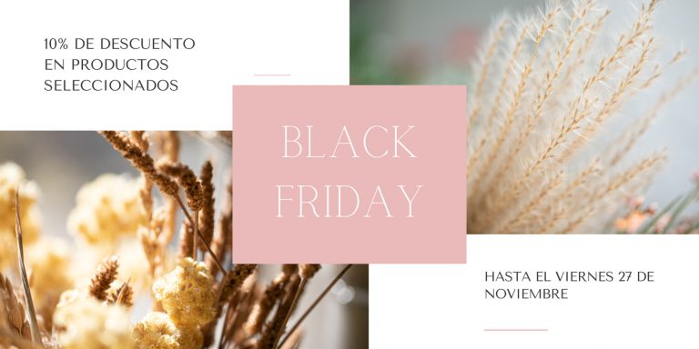 Black Friday Descuentos Flores en el Columpio