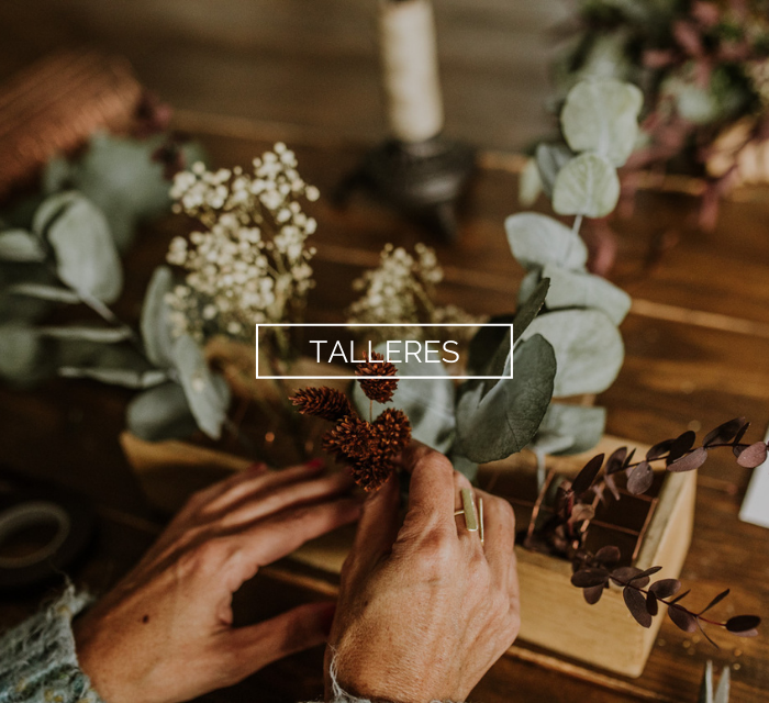 Talleres de flores preservadas y naturales en Torrelodones (Madrid)