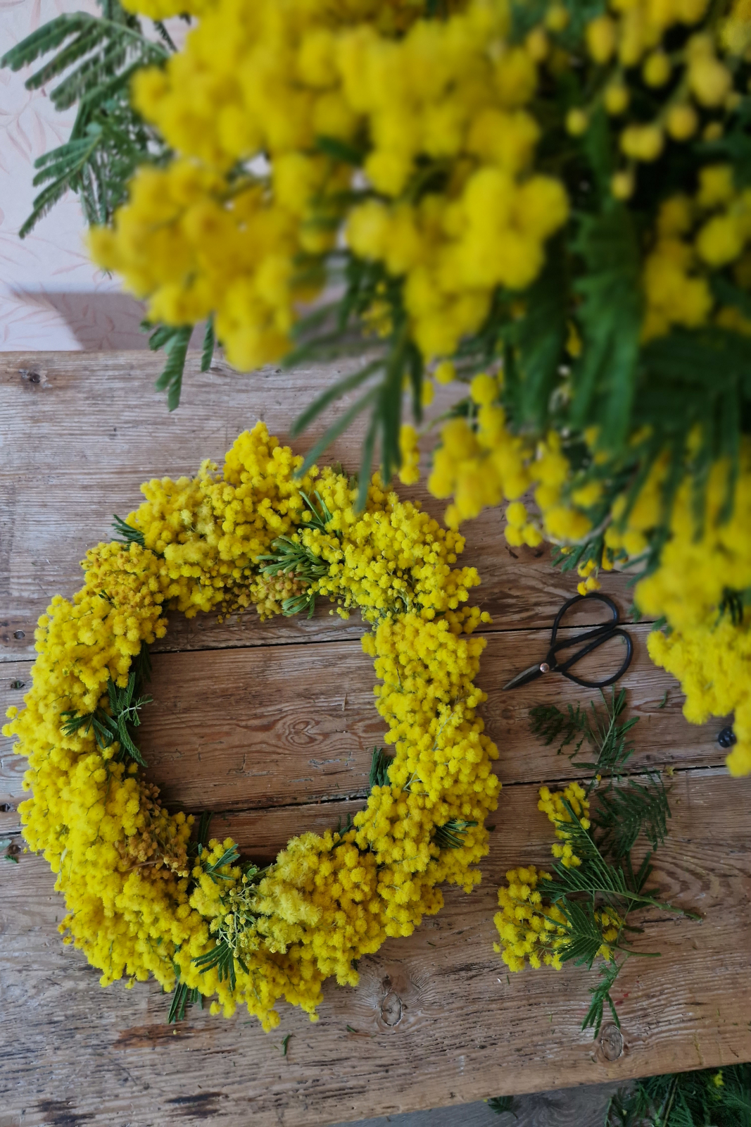 Taller 3 de febrero: corona de mimosas