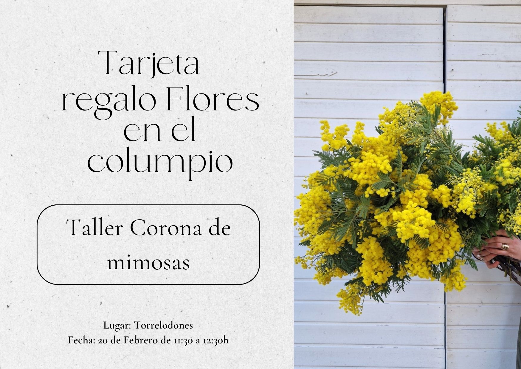 Taller 3 de febrero: corona de mimosas - Imagen 4