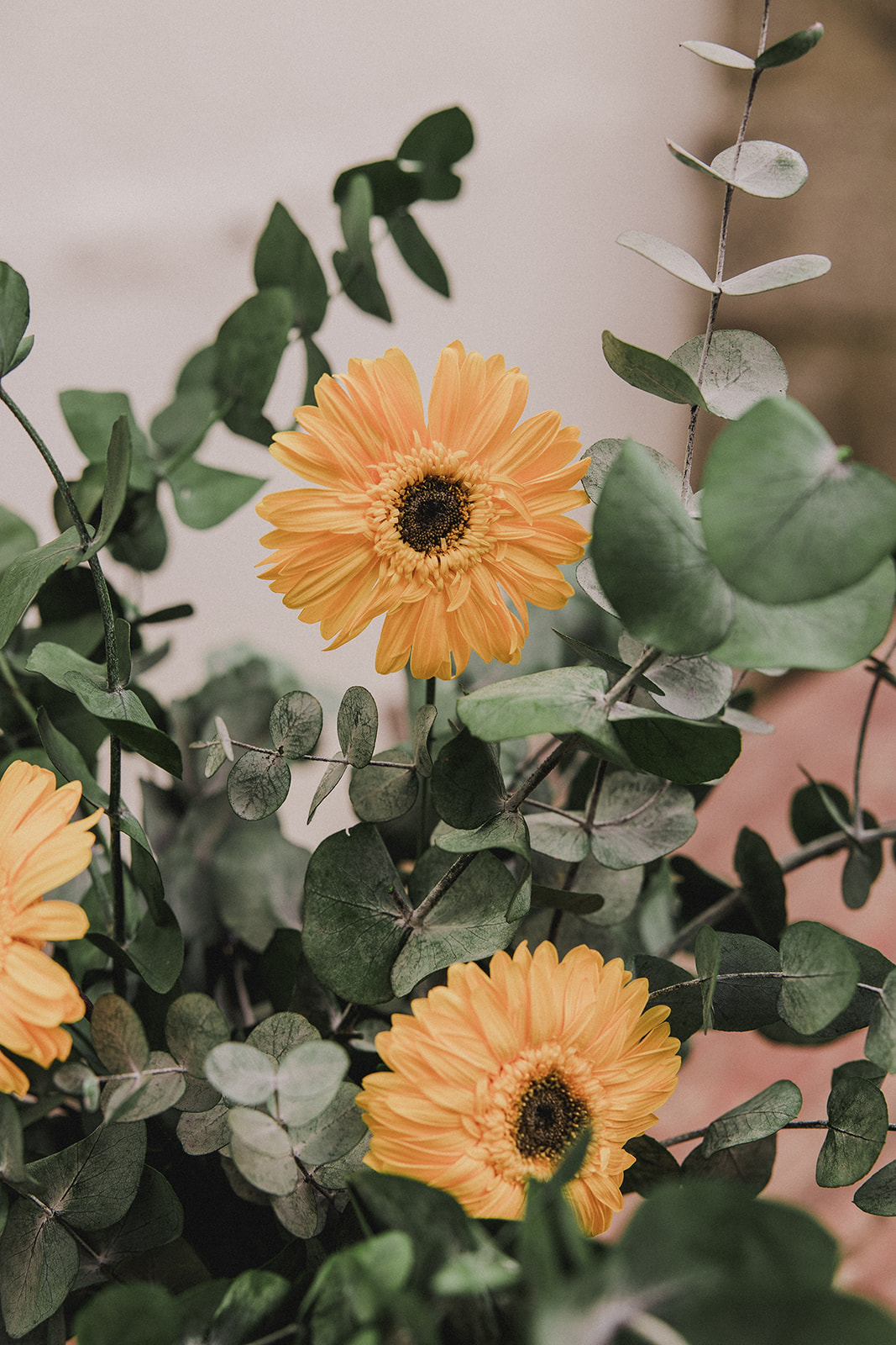 Jarrón Gerberas - Imagen 3