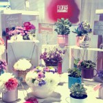 Nomada Market Nomada Market