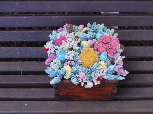 Flores en un celemín