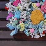 Flores en un celemín