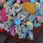 Flores en un celemín