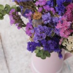 Jarra de siemprevivas