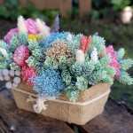 Centro de flores secas