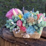 Centro de flores secas