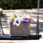 ¿Y por qué no? ¿Y por qué no?