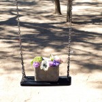 ¿Y por qué no? ¿Y por qué no?