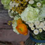 Un ramo mimosón Un ramo mimosón