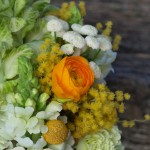 Un ramo mimosón Un ramo mimosón