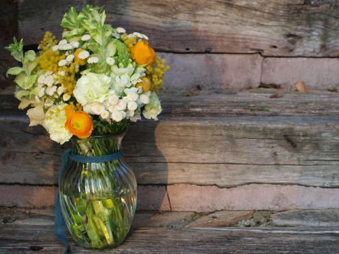 Ramo mimosón Ramo mimosón