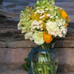 Un ramo mimosón Un ramo mimosón