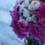 Claveles y ranúnculos