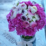 Claveles y ranúnculos