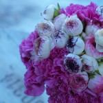 Claveles y ranúnculos