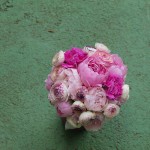 Vista cenital del ramo Vista cenital del ramo