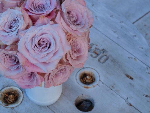 Rosas o diamantes? Rosas o diamantes?