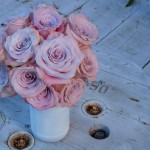 Rosas o diamantes? Rosas o diamantes?