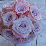 Rosas o diamantes? Rosas o diamantes?