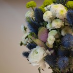 eringium, ranúnculos, botón verde, brasica