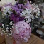 Peonías para Cristina