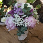 Peonías para Cristina