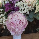 Peonías para Cristina