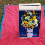 Juego de complementarios