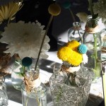 Detalle de las craspedias