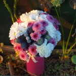 Flores para Maron Flores para Maron