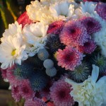 Flores para Maron Flores para Maron