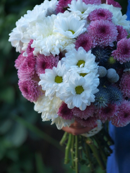 Flores para Maron Flores para Maron