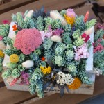 Centro de flores secas