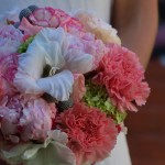 La vida en rosa La vida en rosa