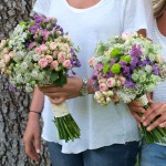 Flores de pitimini II Flores de pitimini II