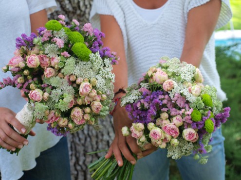 Flores de pitimini II Flores de pitimini II