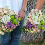 Flores de pitimini II Flores de pitimini II