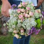 Flores de pitimini II Flores de pitimini II